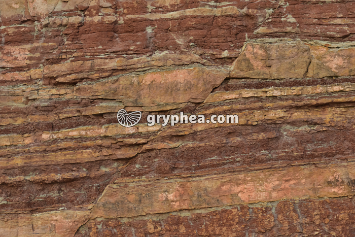 Faille (Bédarieux) - gryphea.com